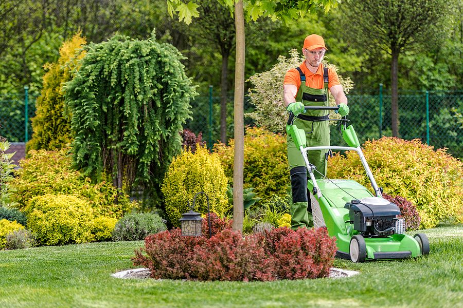 Seasonal property maintenance planning and outdoor care