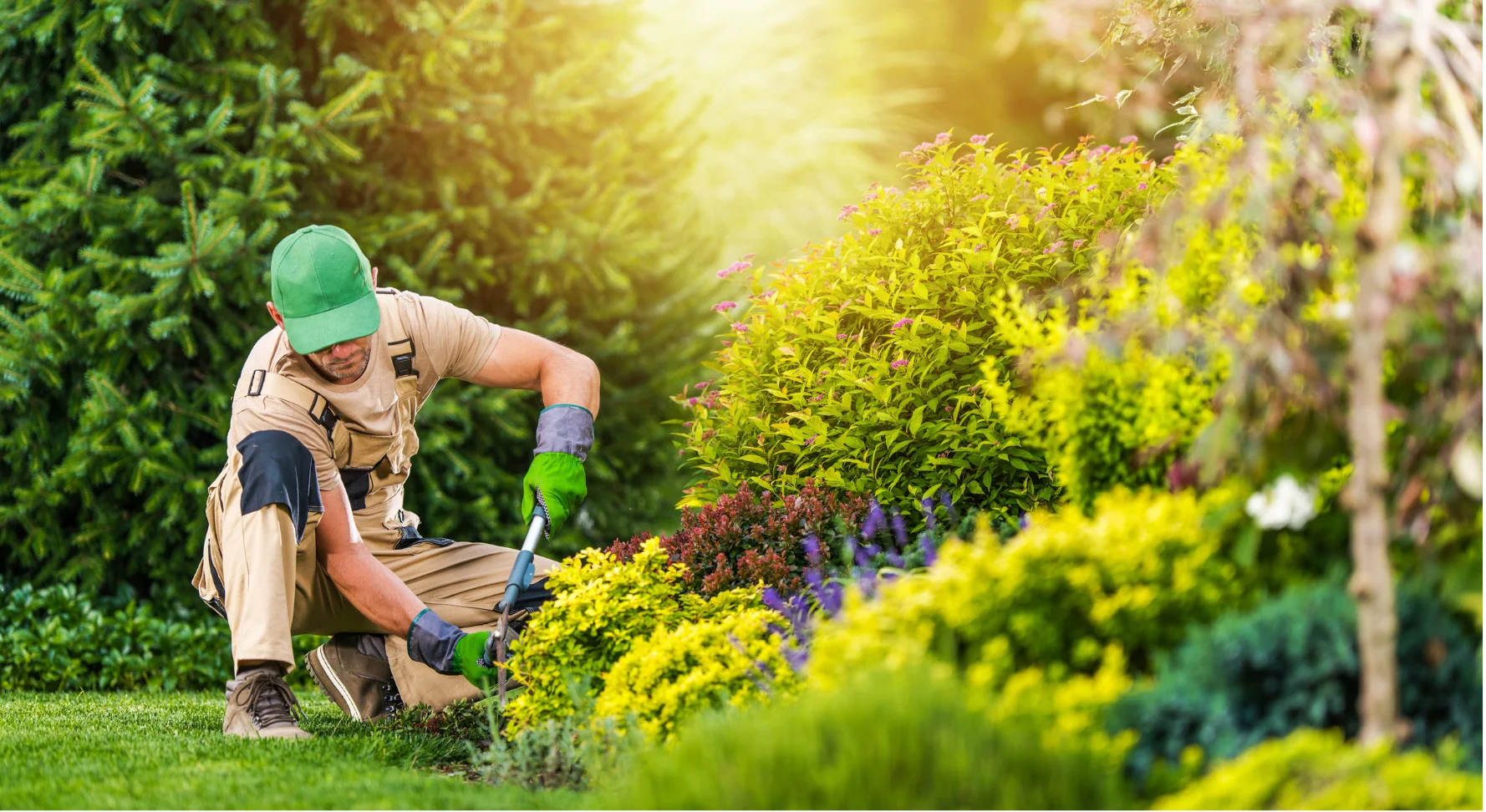 Professional grounds maintenance and garden care