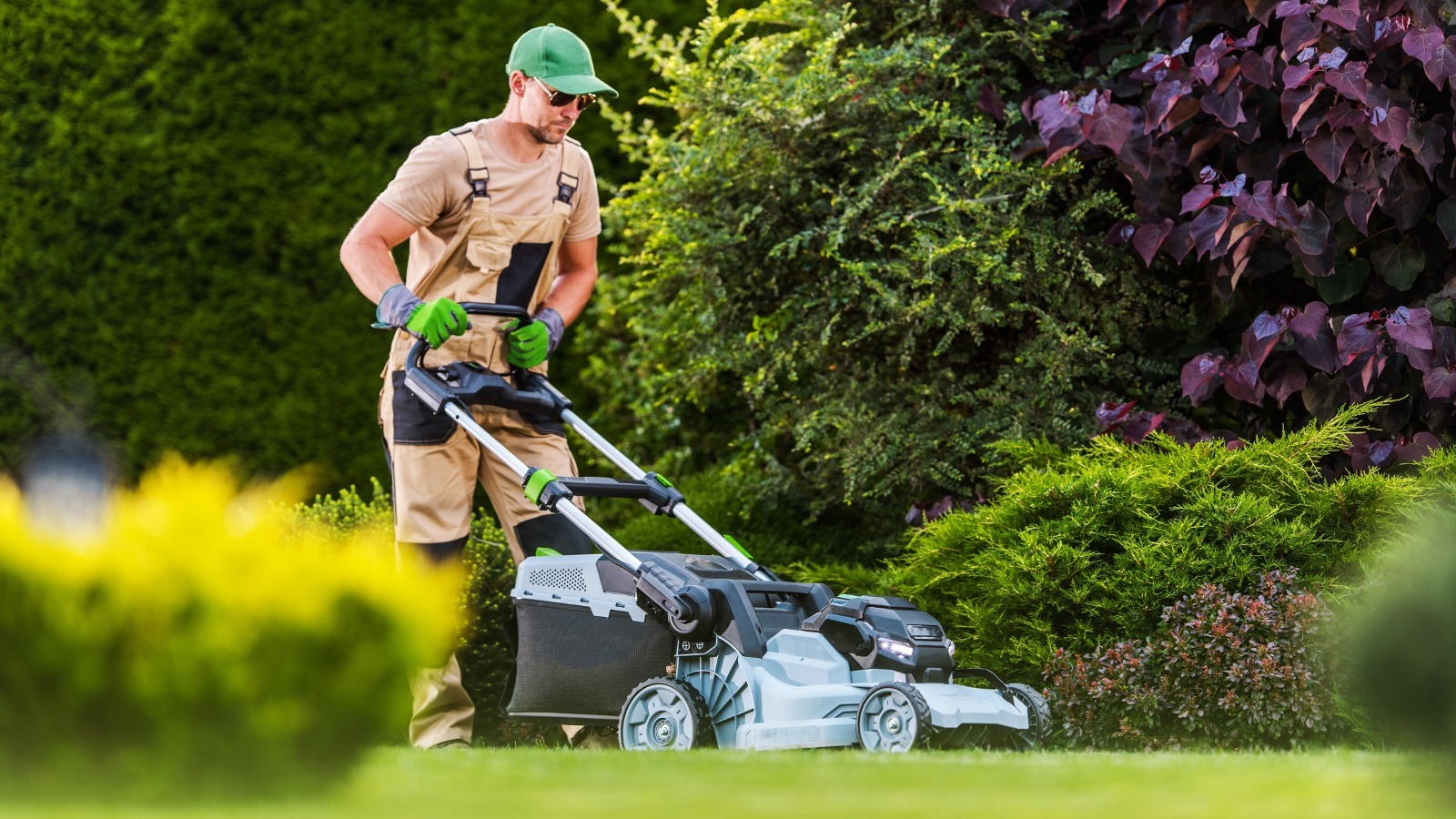 Lawn mowing and grass maintenance