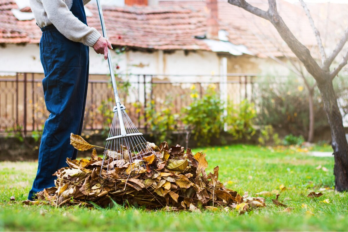 Seasonal outdoor cleanup and property grounds maintenance