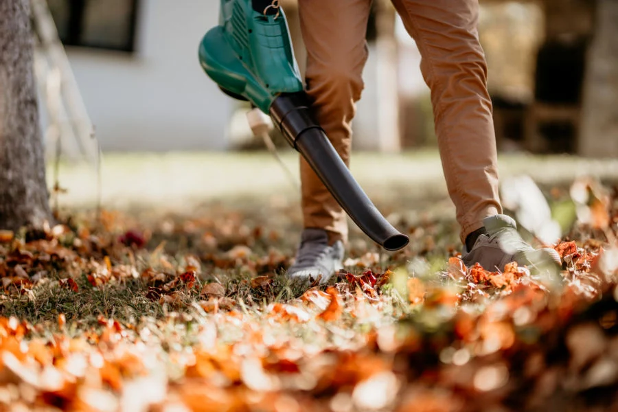 Outdoor yard cleanup and removal of fallen leaves